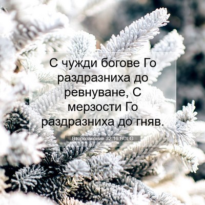 Picture 07 - Второзаконие 32:16 BULG - С чужди богове Го - Bible Verse Picture
