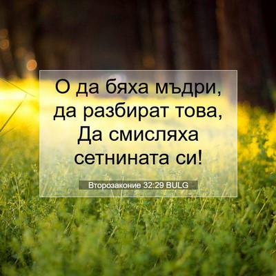 Picture 07 - Второзаконие 32:29 BULG - О да бяха мъдри, да - Bible Verse Picture