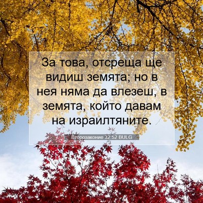 Picture 07 - Второзаконие 32:52 BULG - За това, отсреща ще видиш - Bible Verse Picture