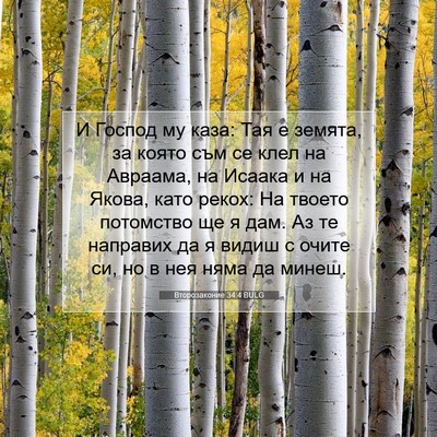 Picture 07 - Второзаконие 34:4 BULG - И Господ му каза: Тая е - Bible Verse Picture