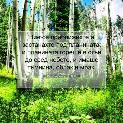 Picture 07 - Второзаконие 4:11 BULG - Вие се приближихте и - Bible Verse Picture