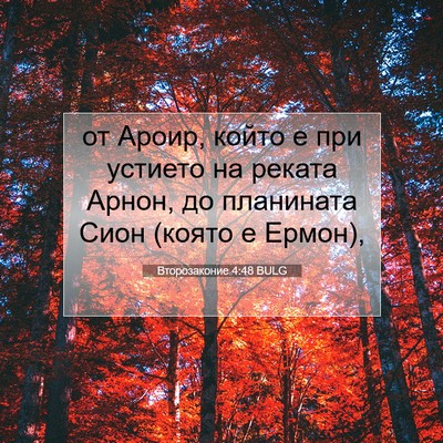 Picture 07 - Второзаконие 4:48 BULG - от Ароир, който е при - Bible Verse Picture