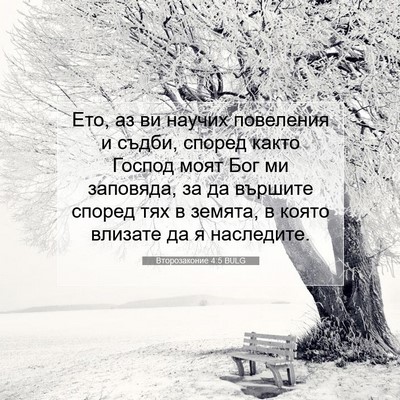 Picture 07 - Второзаконие 4:5 BULG - Ето, аз ви научих повеления - Bible Verse Picture