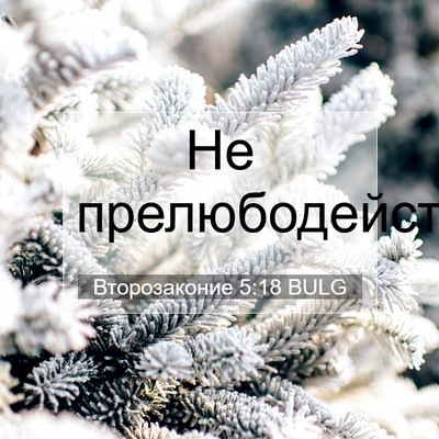Picture 07 - Второзаконие 5:18 BULG - Не - Bible Verse Picture
