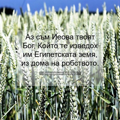 Picture 07 - Второзаконие 5:6 BULG - Аз съм Иеова твоят Бог, - Bible Verse Picture