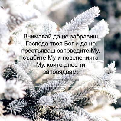 Picture 07 - Второзаконие 8:11 BULG - Внимавай да не забравиш - Bible Verse Picture