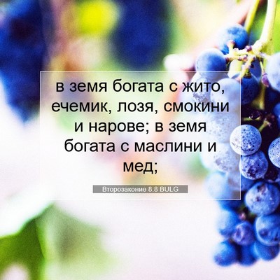 Picture 07 - Второзаконие 8:8 BULG - в земя богата с жито, - Bible Verse Picture