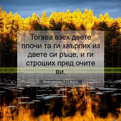 Picture 07 - Второзаконие 9:17 BULG - Тогава взех двете плочи та - Bible Verse Picture