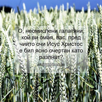 Picture 07 - Галатяни 3:1 BULG - О, неомислени галатяни, кой - Bible Verse Picture
