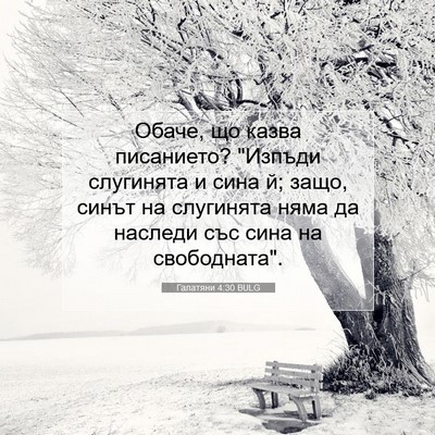 Picture 07 - Галатяни 4:30 BULG - Обаче, що казва писанието? - Bible Verse Picture
