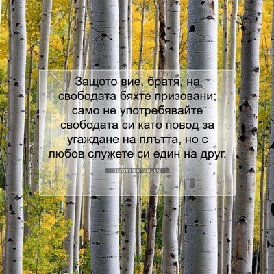 Picture 07 - Галатяни 5:13 BULG - Защото вие, братя, на - Bible Verse Picture