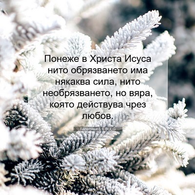 Picture 07 - Галатяни 5:6 BULG - Понеже в Христа Исуса нито - Bible Verse Picture
