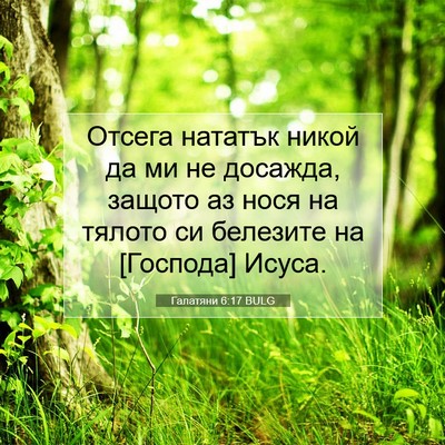 Picture 07 - Галатяни 6:17 BULG - Отсега нататък никой да ми - Bible Verse Picture
