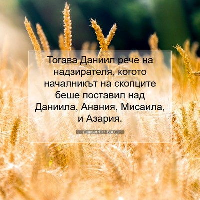 Picture 07 - Данаил 1:11 BULG - Тогава Даниил рече на - Bible Verse Picture