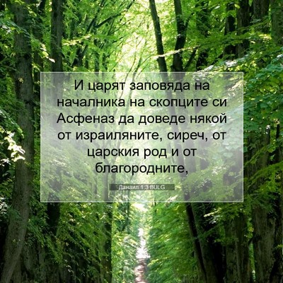 Picture 07 - Данаил 1:3 BULG - И царят заповяда на - Bible Verse Picture