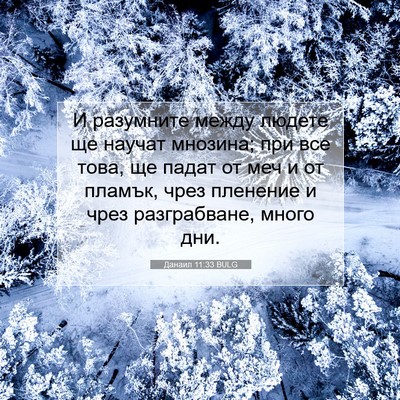Picture 07 - Данаил 11:33 BULG - И разумните между людете - Bible Verse Picture