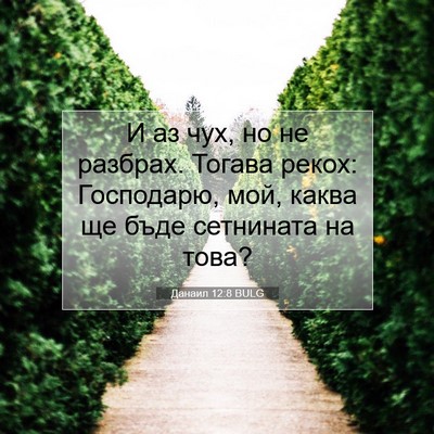 Picture 07 - Данаил 12:8 BULG - И аз чух, но не разбрах. - Bible Verse Picture