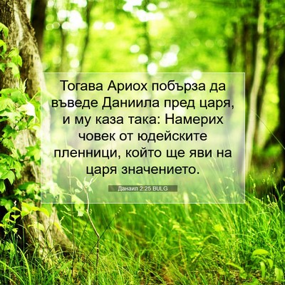 Picture 07 - Данаил 2:25 BULG - Тогава Ариох побърза да - Bible Verse Picture