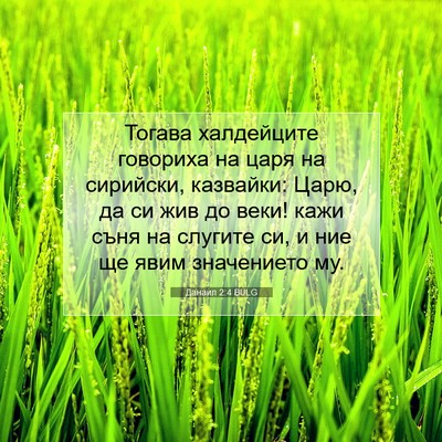 Picture 07 - Данаил 2:4 BULG - Тогава халдейците - Bible Verse Picture