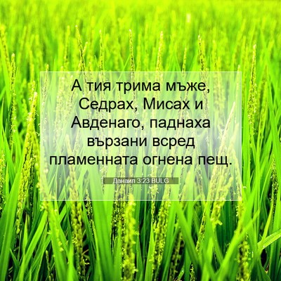 Picture 07 - Данаил 3:23 BULG - А тия трима мъже, Седрах, - Bible Verse Picture