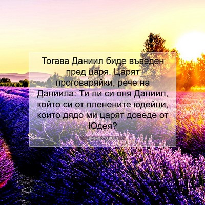 Picture 07 - Данаил 5:13 BULG - Тогава Даниил биде въведен - Bible Verse Picture
