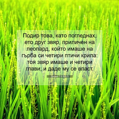 Picture 07 - Данаил 7:6 BULG - Подир това, като погледнах, - Bible Verse Picture