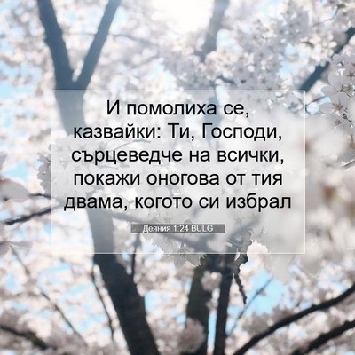 Picture 07 - Деяния 1:24 BULG - И помолиха се, казвайки: Ти, - Bible Verse Picture