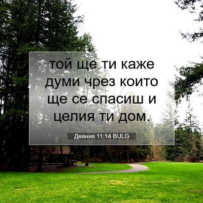 Picture 07 - Деяния 11:14 BULG - той ще ти каже думи чрез - Bible Verse Picture