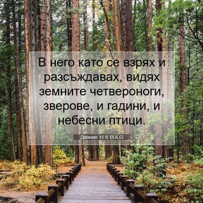 Picture 07 - Деяния 11:6 BULG - В него като се взрях и - Bible Verse Picture