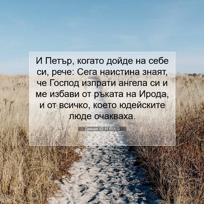 Picture 07 - Деяния 12:11 BULG - И Петър, когато дойде на - Bible Verse Picture