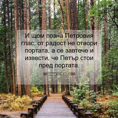 Picture 07 - Деяния 12:14 BULG - И щом позна Петровия глас, - Bible Verse Picture