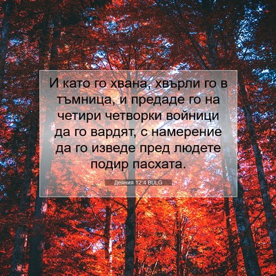 Picture 07 - Деяния 12:4 BULG - И като го хвана, хвърли го в - Bible Verse Picture