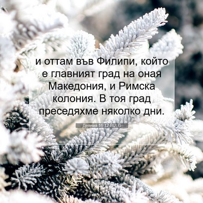 Picture 07 - Деяния 16:12 BULG - и оттам във Филипи, който е - Bible Verse Picture
