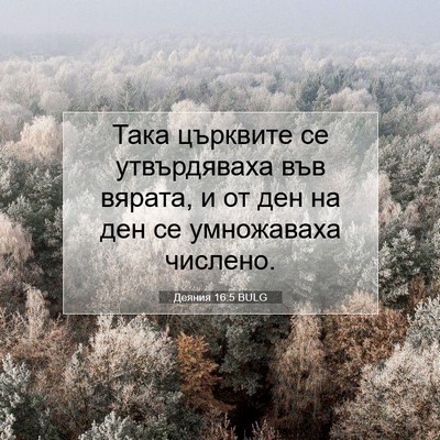 Picture 07 - Деяния 16:5 BULG - Така църквите се - Bible Verse Picture