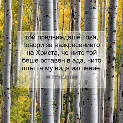Picture 07 - Деяния 2:31 BULG - той предвиждаше това, - Bible Verse Picture