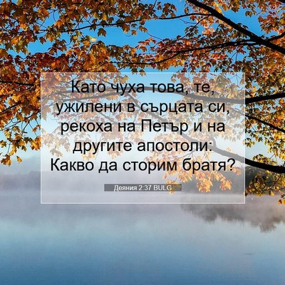 Picture 07 - Деяния 2:37 BULG - Като чуха това, те, ужилени - Bible Verse Picture