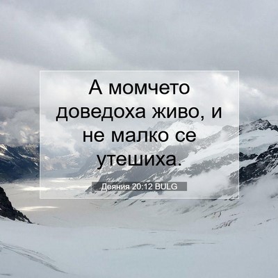 Picture 07 - Деяния 20:12 BULG - А момчето доведоха живо, и - Bible Verse Picture