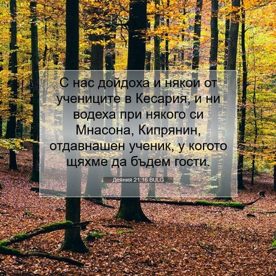 Picture 07 - Деяния 21:16 BULG - С нас дойдоха и някои от - Bible Verse Picture