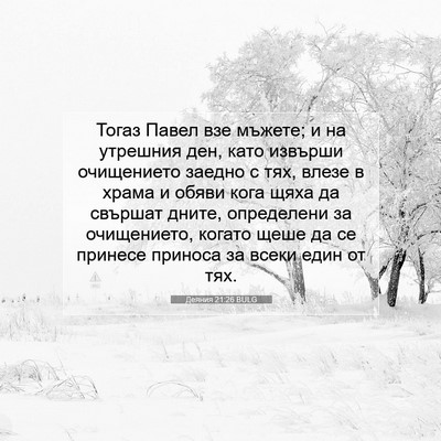 Picture 07 - Деяния 21:26 BULG - Тогаз Павел взе мъжете; и - Bible Verse Picture