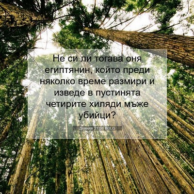 Picture 07 - Деяния 21:38 BULG - Не си ли тогава оня - Bible Verse Picture