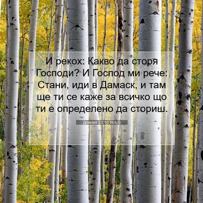 Picture 07 - Деяния 22:10 BULG - И рекох: Какво да сторя - Bible Verse Picture