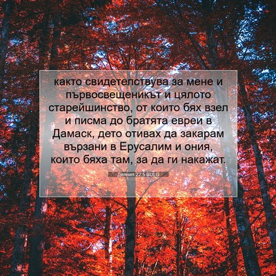 Picture 07 - Деяния 22:5 BULG - както свидетелствува за - Bible Verse Picture
