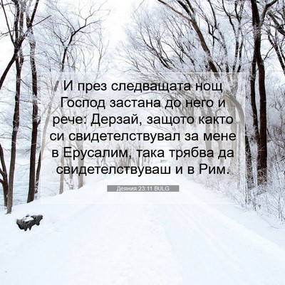 Picture 07 - Деяния 23:11 BULG - И през следващата нощ - Bible Verse Picture