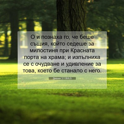 Picture 07 - Деяния 3:1 BULG - О и познаха го, че беше - Bible Verse Picture