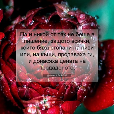 Picture 07 - Деяния 4:34 BULG - Па и никой от тях не беше в - Bible Verse Picture
