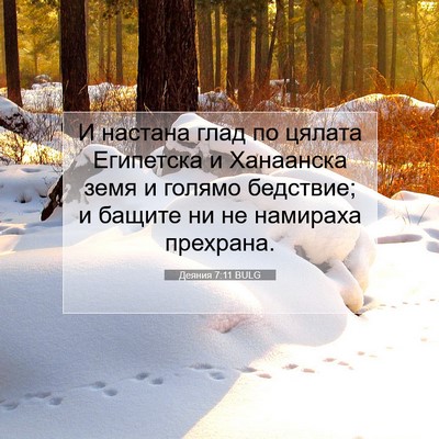 Picture 07 - Деяния 7:11 BULG - И настана глад по цялата - Bible Verse Picture