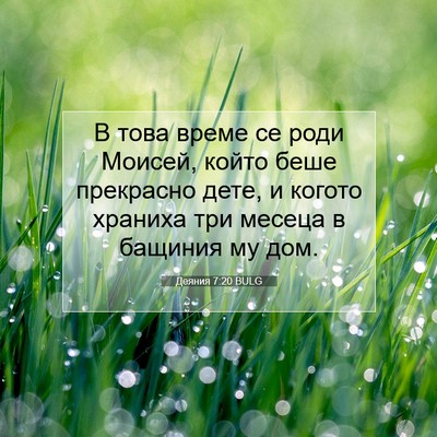 Picture 07 - Деяния 7:20 BULG - В това време се роди - Bible Verse Picture