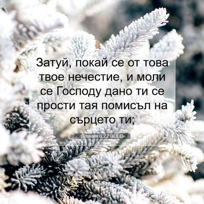 Picture 07 - Деяния 8:22 BULG - Затуй, покай се от това - Bible Verse Picture