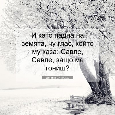 Picture 07 - Деяния 9:4 BULG - И като падна на земята, чу - Bible Verse Picture