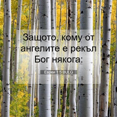 Picture 07 - Евреи 1:5 BULG - Защото, кому от ангелите е - Bible Verse Picture